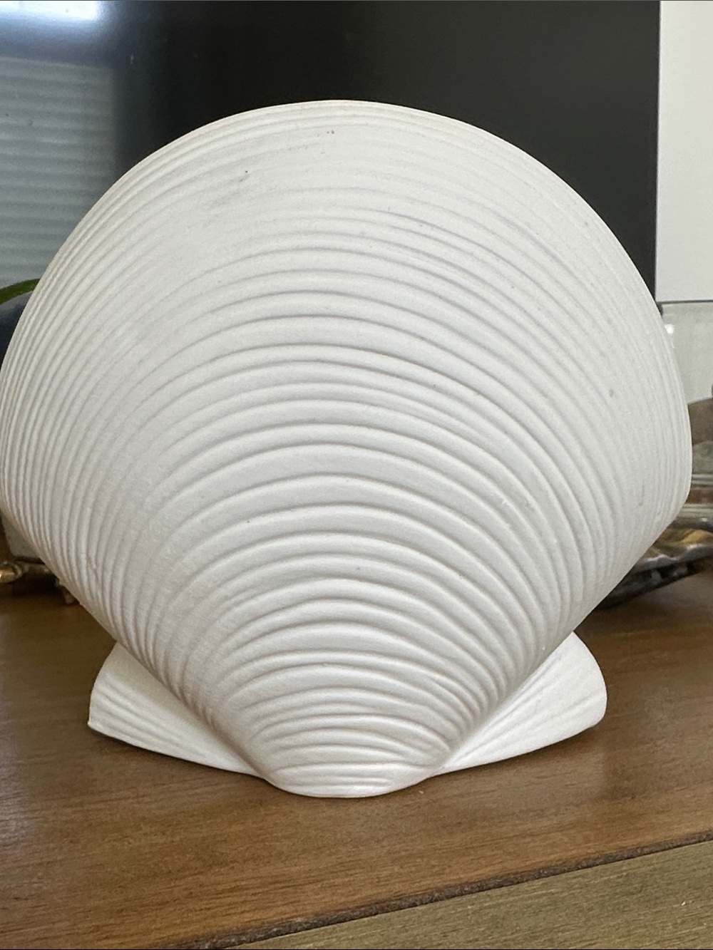 White Ceramic Shell Sculpture - 7x5